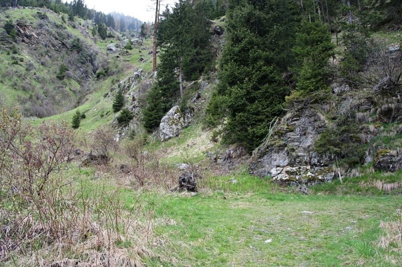 arachnoideum from Antholzer See