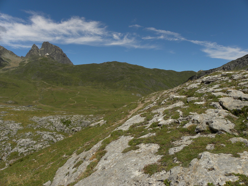 arachnoideum from Col du Pourtalet, 1795m