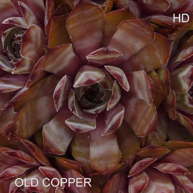 Old Copper