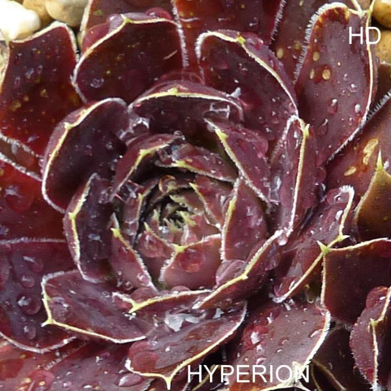 Hyperion / Jovi