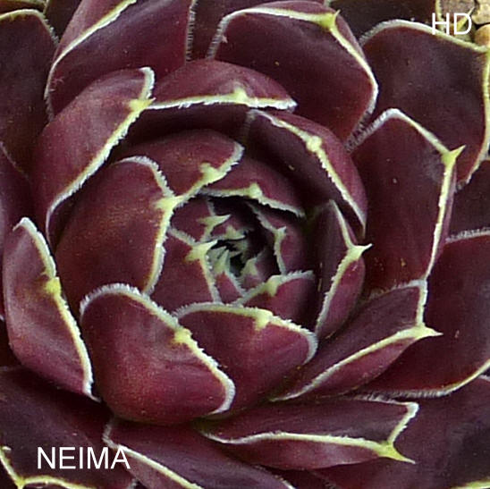 Neima / Jovi