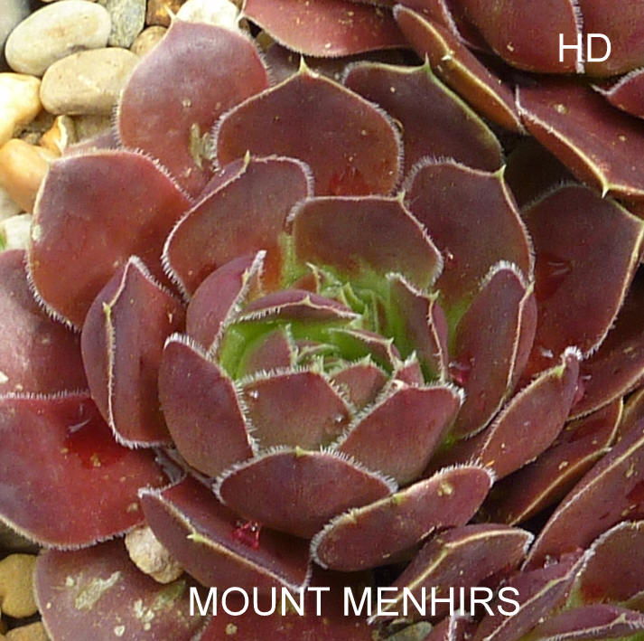 Mount Menhirs / Jovi