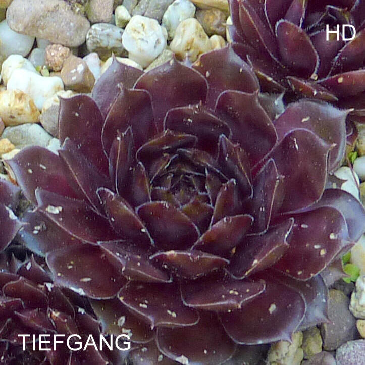 Tiefgang