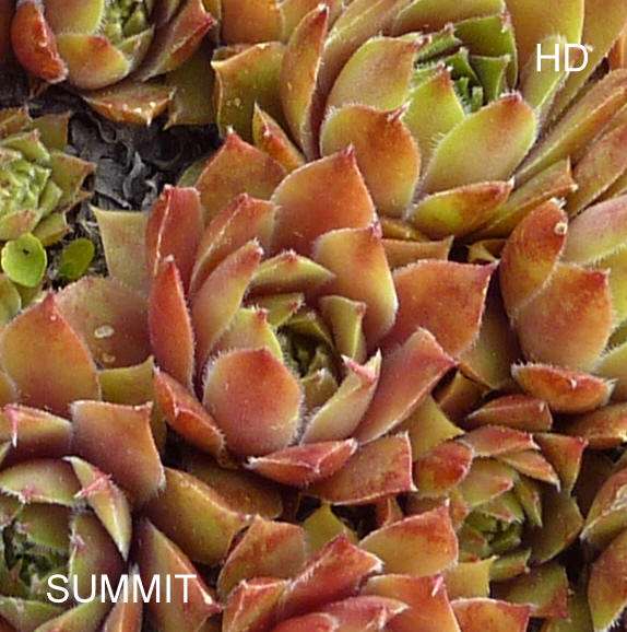 Summit