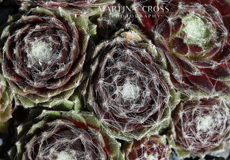 Solarkugel