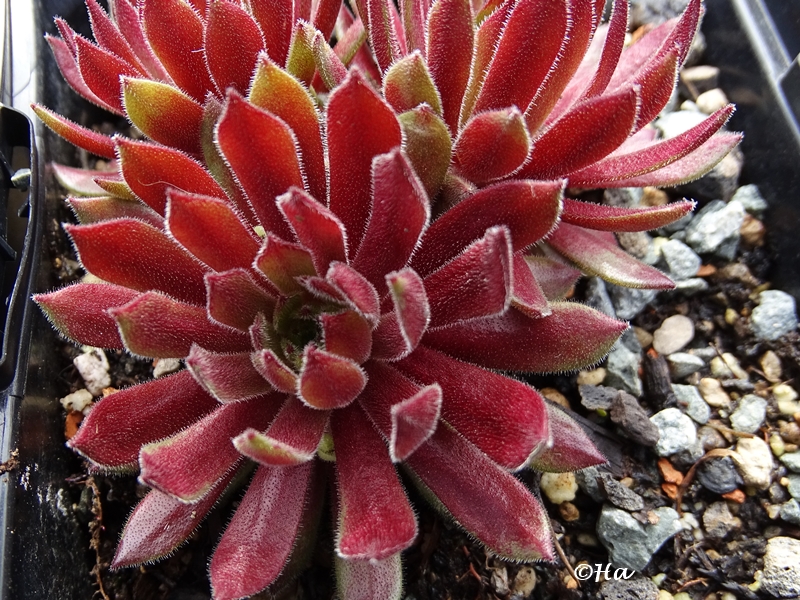 Zeitlupe