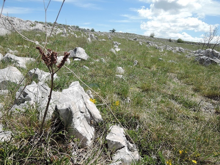Reisebericht: Mt. Svilaja