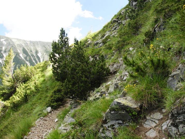 Reisebericht: Vihren, O Abhang 2