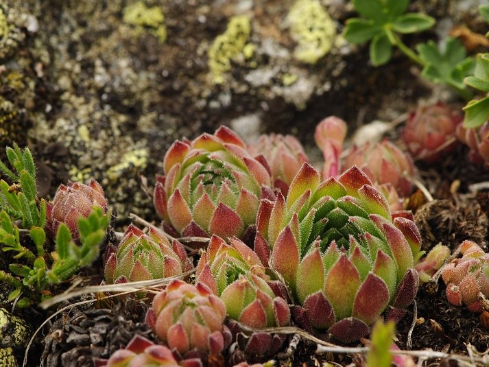 Reisebericht: Belandža