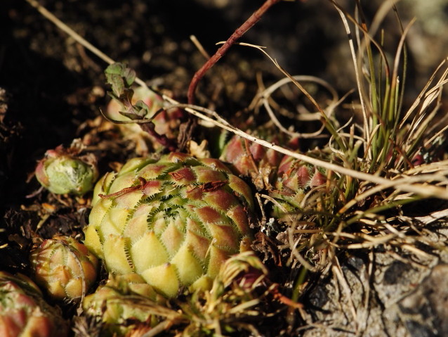 Reisebericht: Hudlická skála