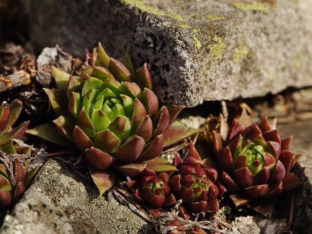 Reisebericht: Jaseňová skala 1