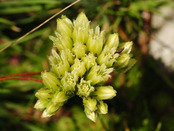 Reisebericht: Malý Rozsutec