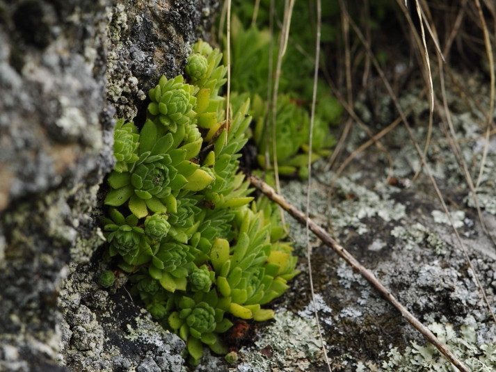 Reisebericht: Starý hrad 1