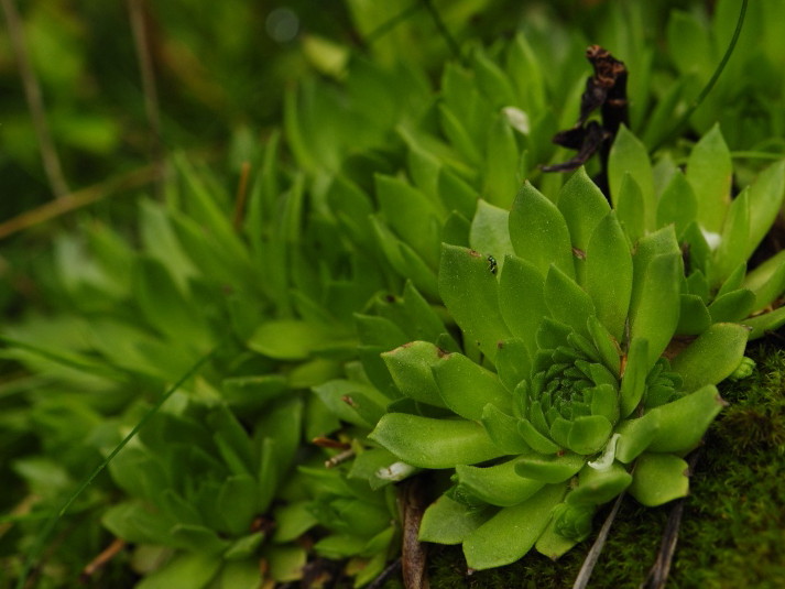 Reisebericht: Kozí hrebeň