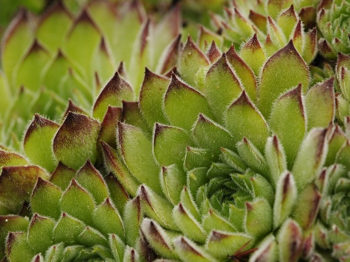 Reisebericht: Veliki krš 1