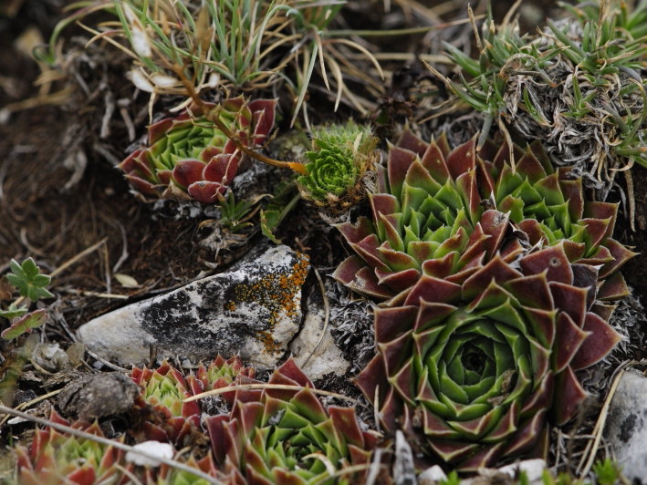 Reisebericht: Kenanica