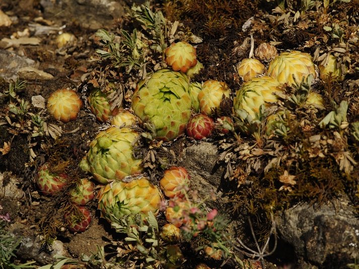 Reisebericht: road Srbsko - Karlštejn