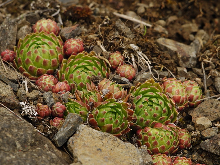 Reisebericht: Těšetice, Steinbruch