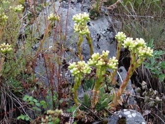 Reisebericht: Pivska planina