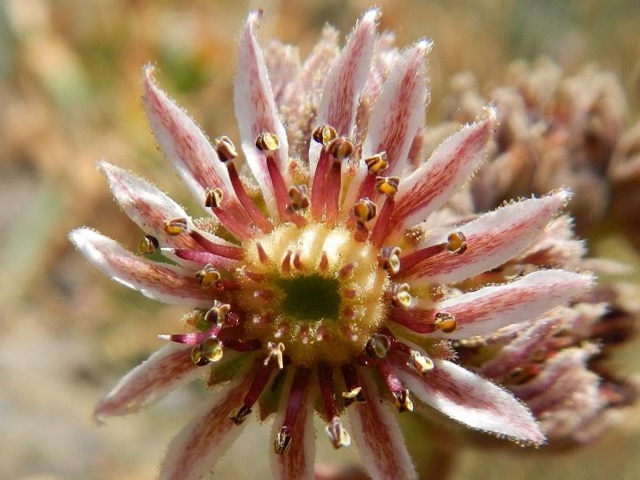 Reisebericht: Siyah Bisheh