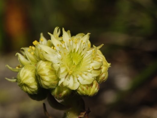 Reisebericht: Küçükdeniz Gölü NW