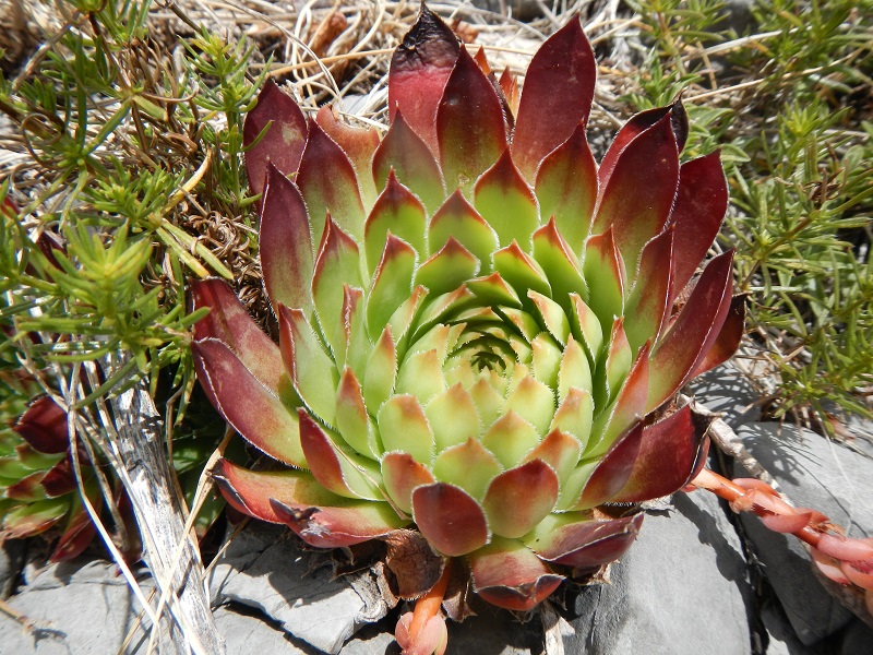 Reisebericht: Mt. Velebit