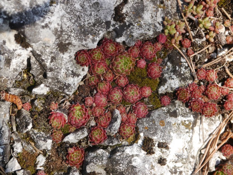 Reisebericht: Fischauer Berge