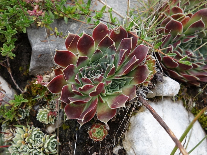 Reisebericht: Durmitor NP 2