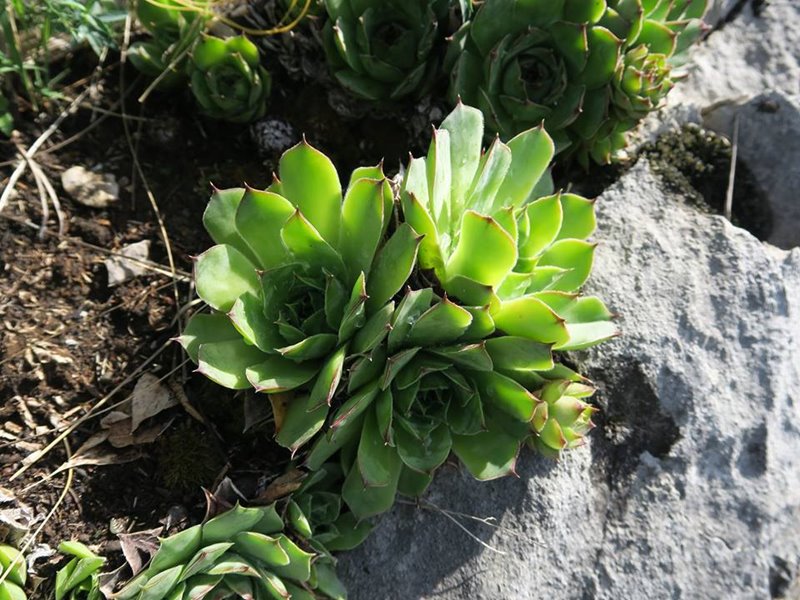 Reisebericht: Primorska