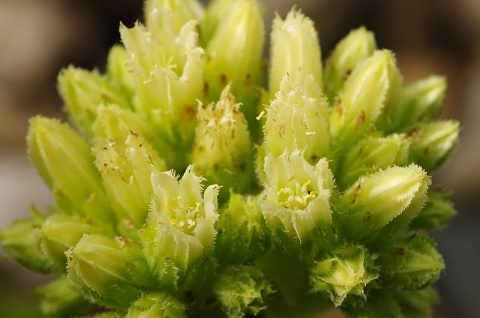 Reisebericht: Žiar nad Hronom