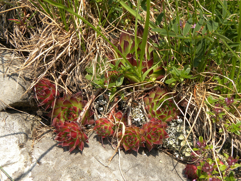 Reisebericht: Urdeni Do