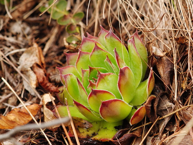 Reisebericht: Mala dolina  