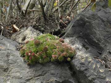 Reisebericht: Liblín (nahe der Brücke)