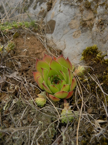 Reisebericht: Pernik