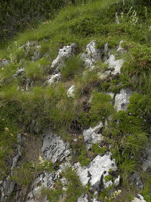 Reisebereicht: Mala Greda