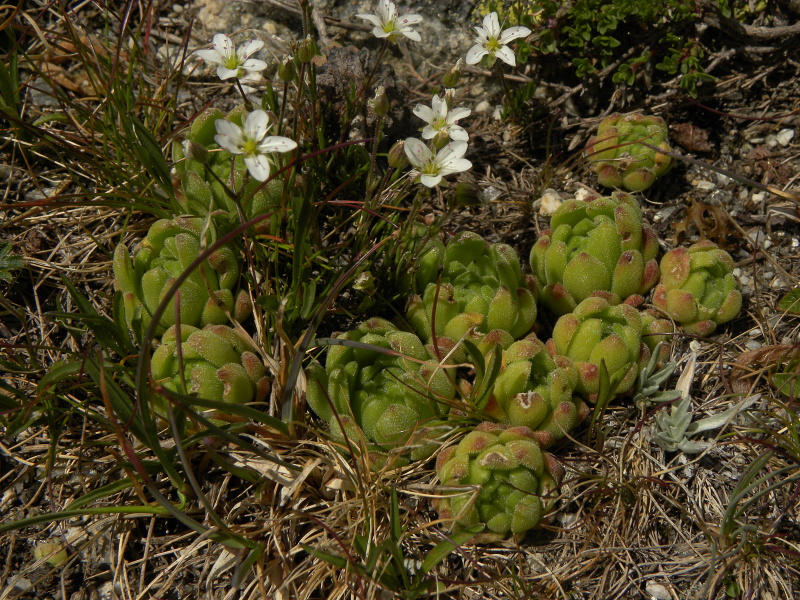 Reisebericht: Ratera, Sattel