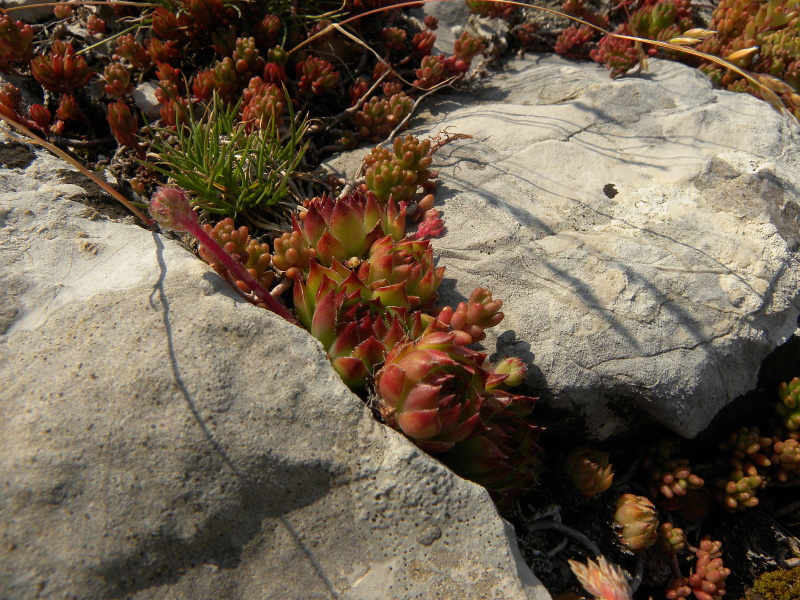 Reisebericht: Urdeni Do, Straße