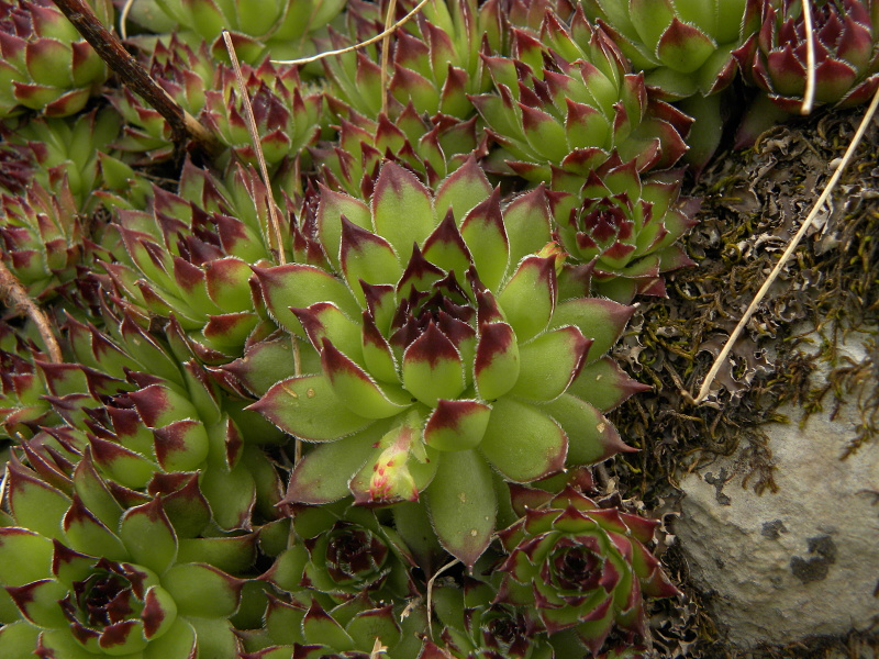 Reisebericht: Mliječni do, Ende