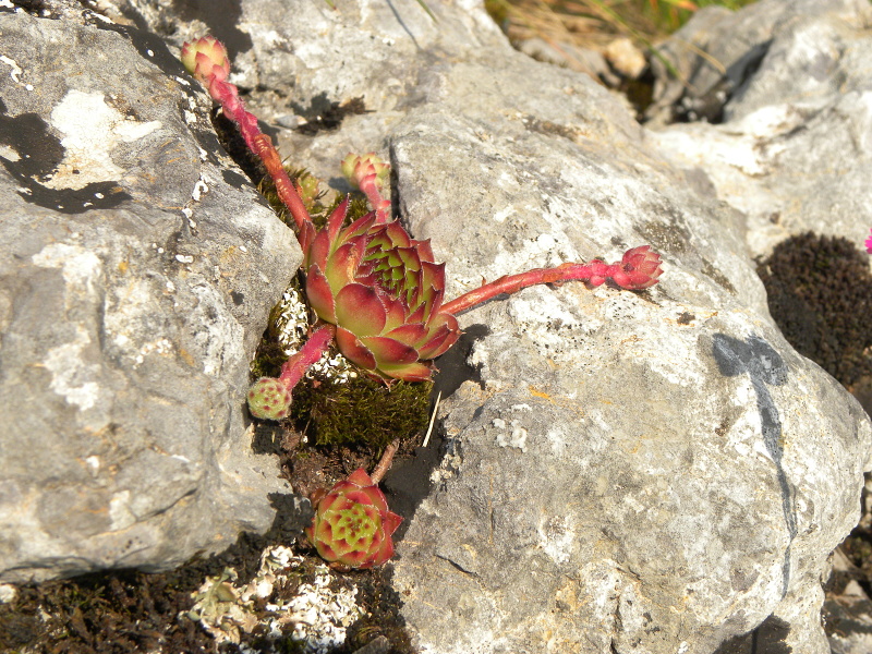 Reisebericht: Ćurovac, Aussicht 1