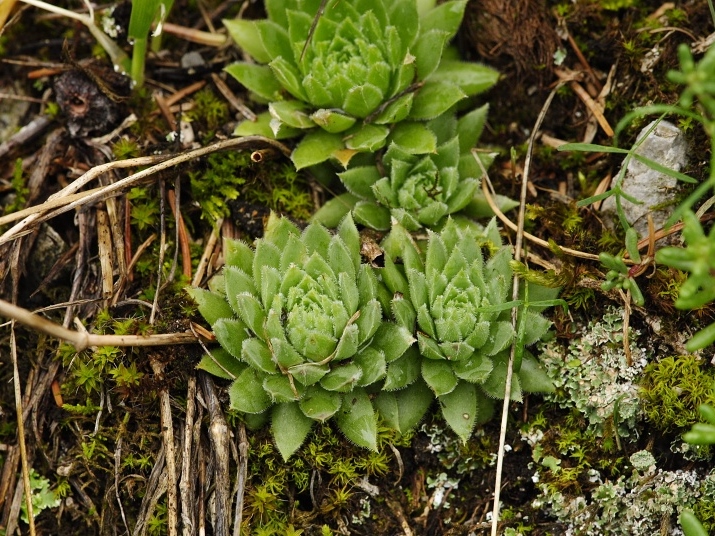 Reisebericht: Stratená, unter dem Dorf