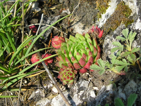 Reisebericht: Sidorovo