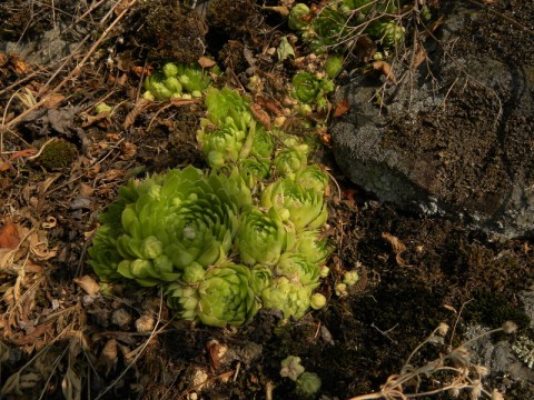 Reisebericht: Podhorní vrch