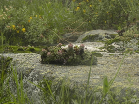 Reisebericht: Suchoto ezero