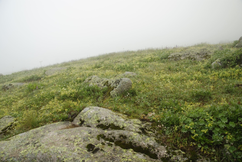 Reisebericht: Yukari Kavrun, 1,5 km S