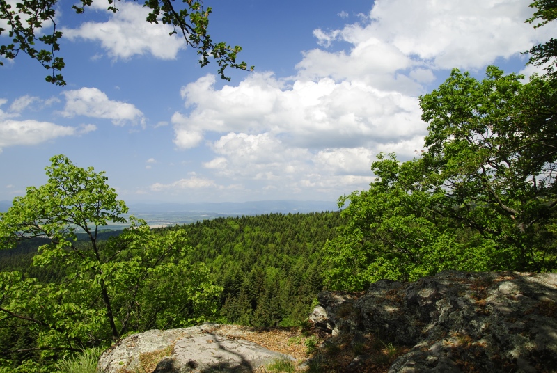 Reisebericht: Kopa, 1