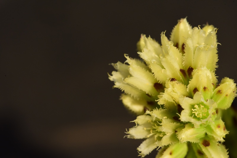 Reisebericht: Brandstatt, Kletterwand