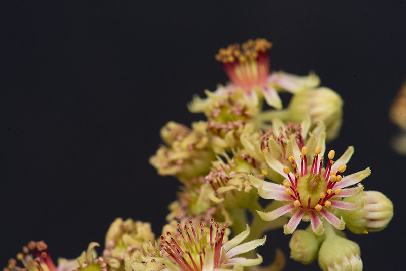 Reisebericht: Kloster Porta, SW, 2