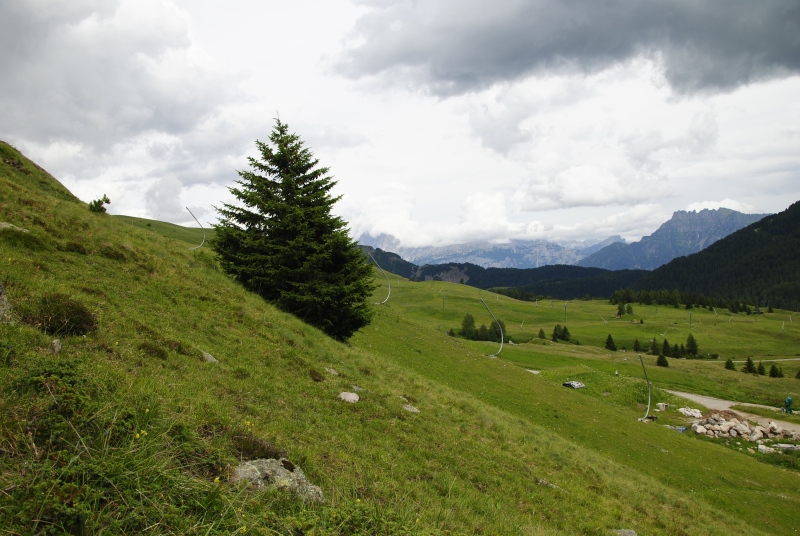 Reisebericht: Passo di San Pellegrino, oberhalb
