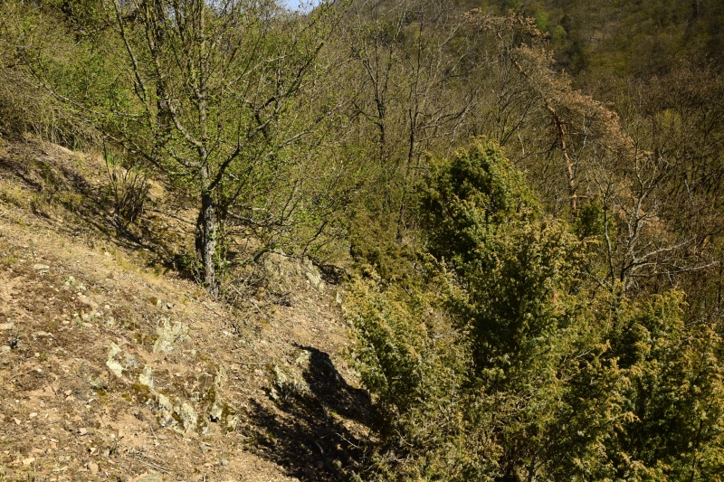 Reisebericht: Skryje, NO von der Brücke