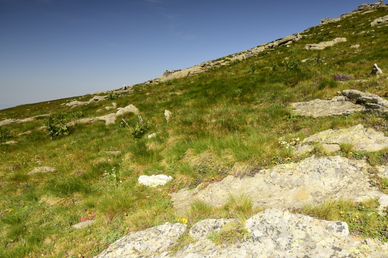 Reisebericht: Kajmakčalan, SO Abhang, 2